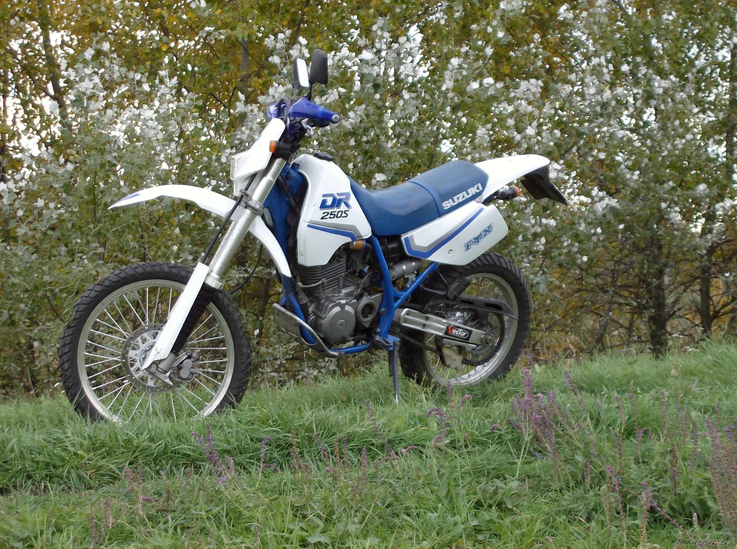 Bike Photo 1062382