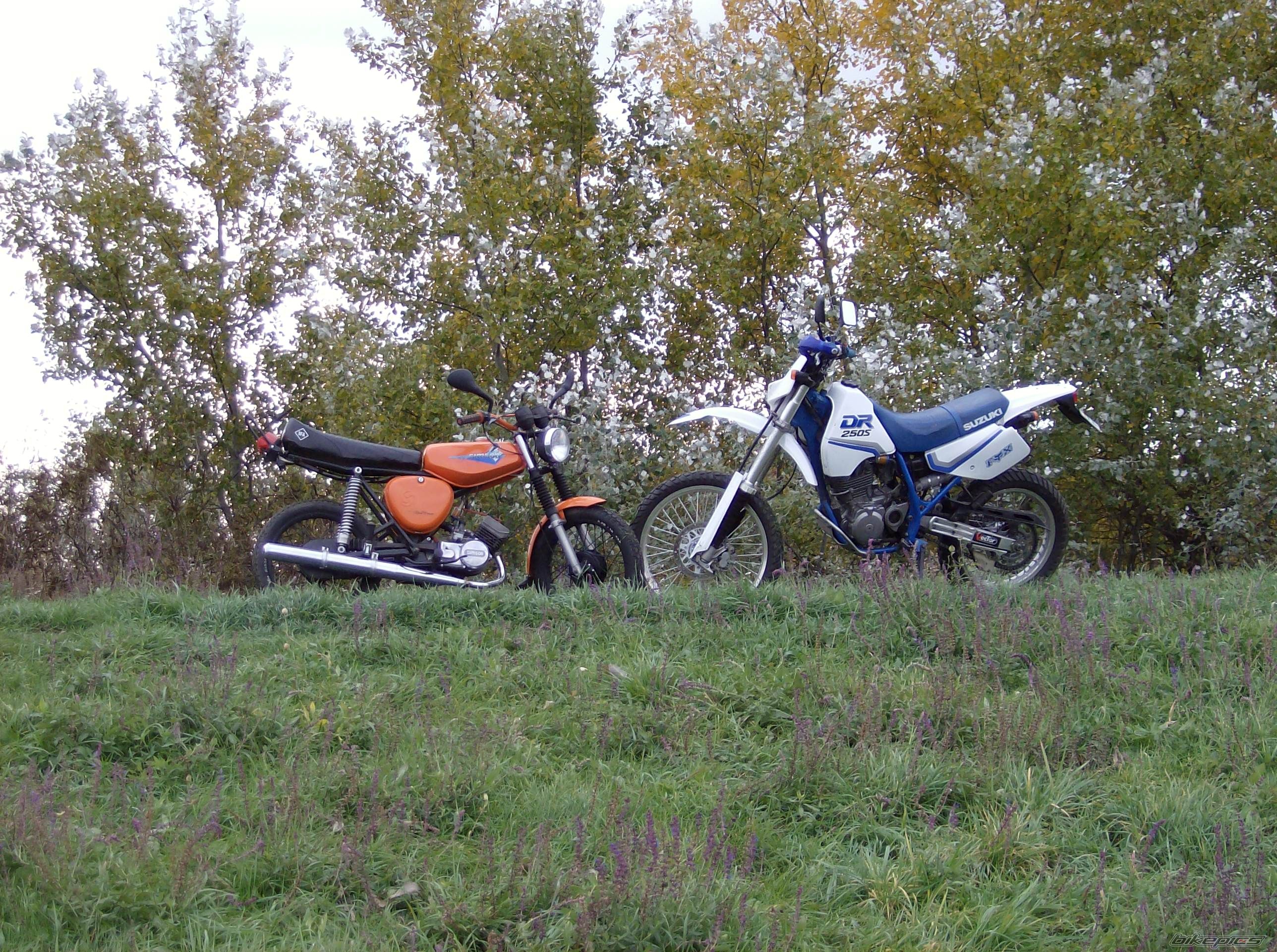 Bike Photo 1062397