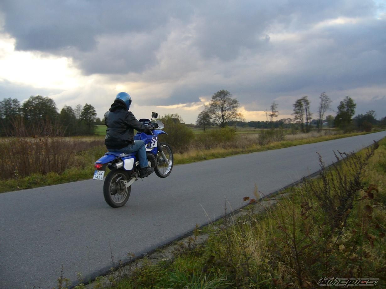 Photo 1062439