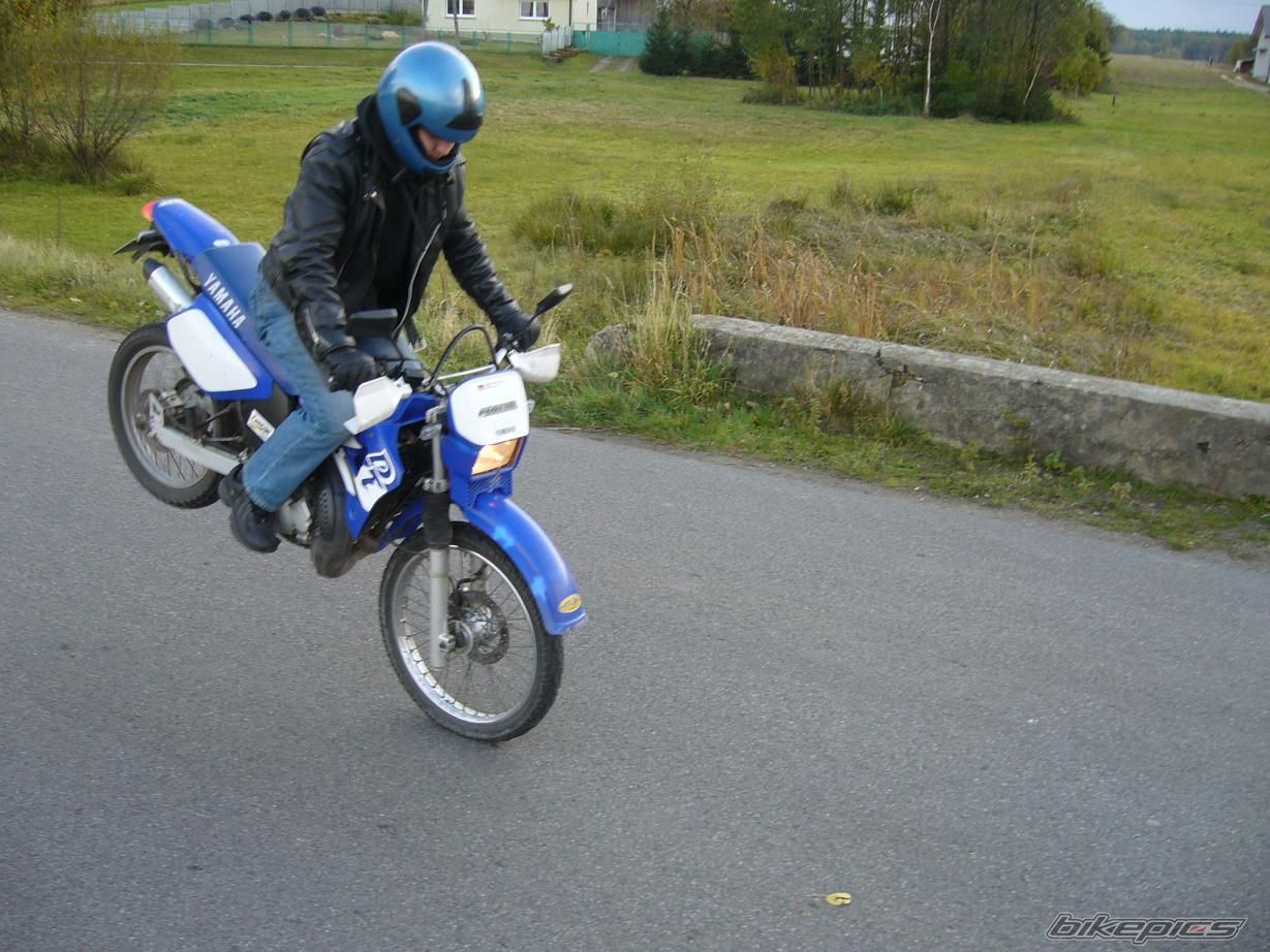 Photo 1062446