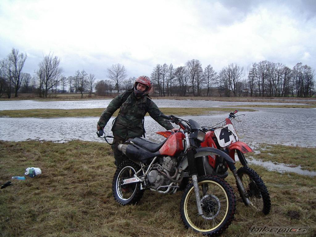 Photo 106258