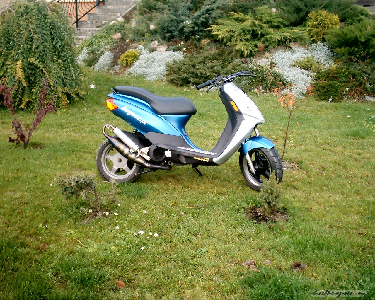 Photo 1062821