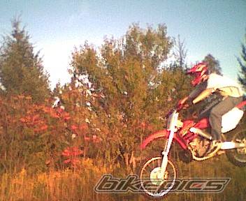 Photo 10631