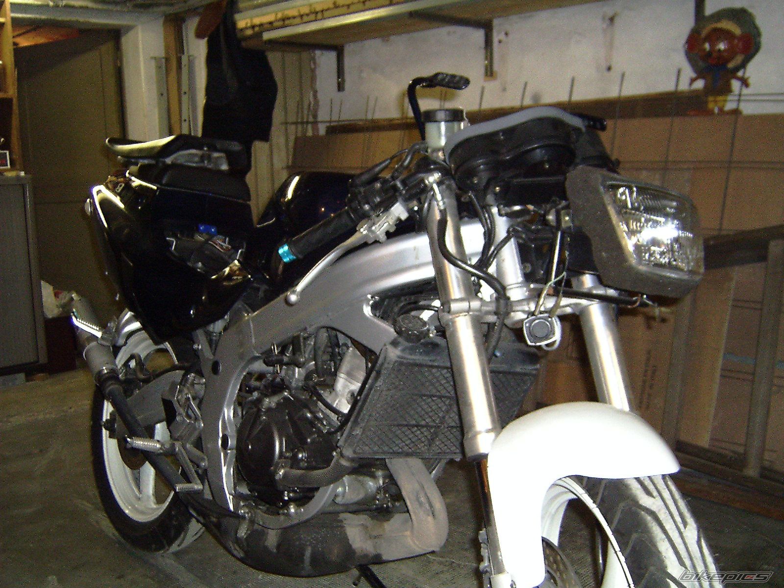 Photo 1063382
