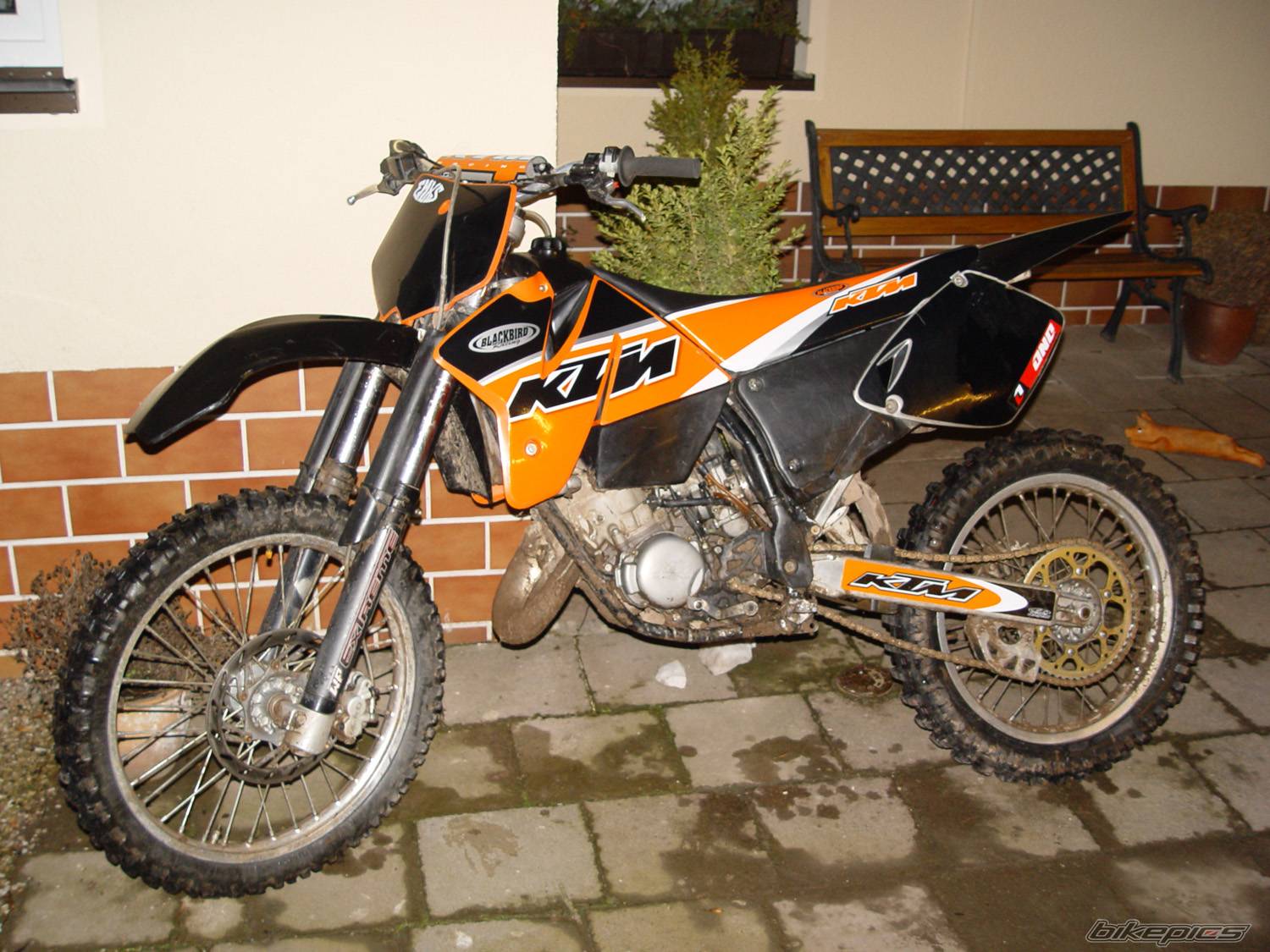 Bike Photo 106366