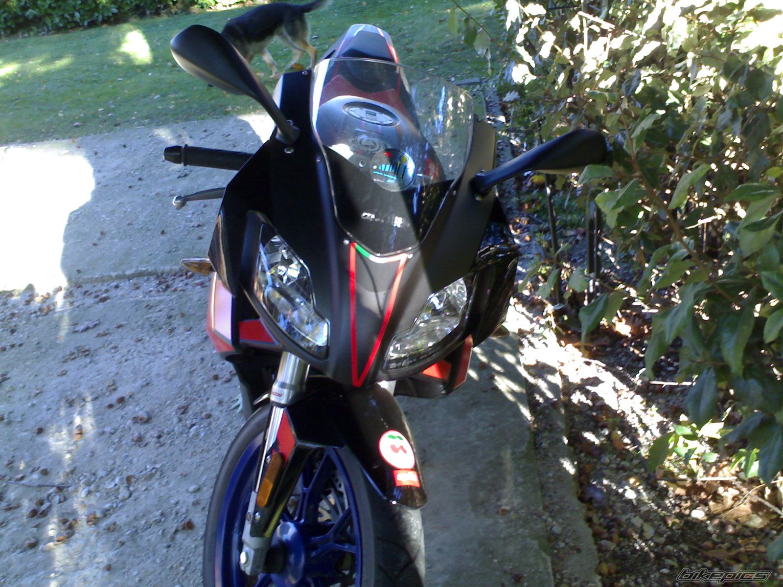 Bike Photo 1063720