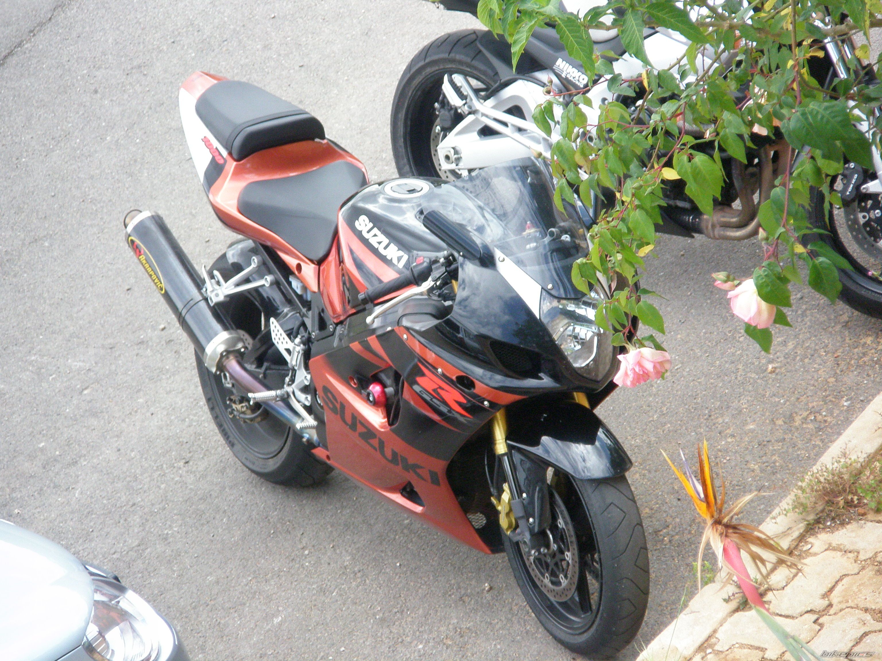 Photo 1063844