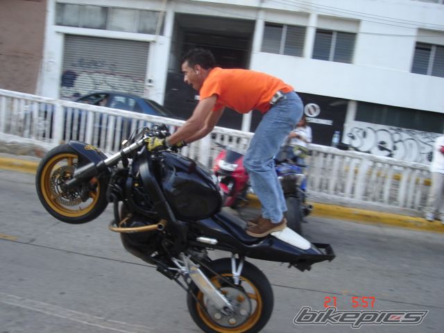 Photo 1063866