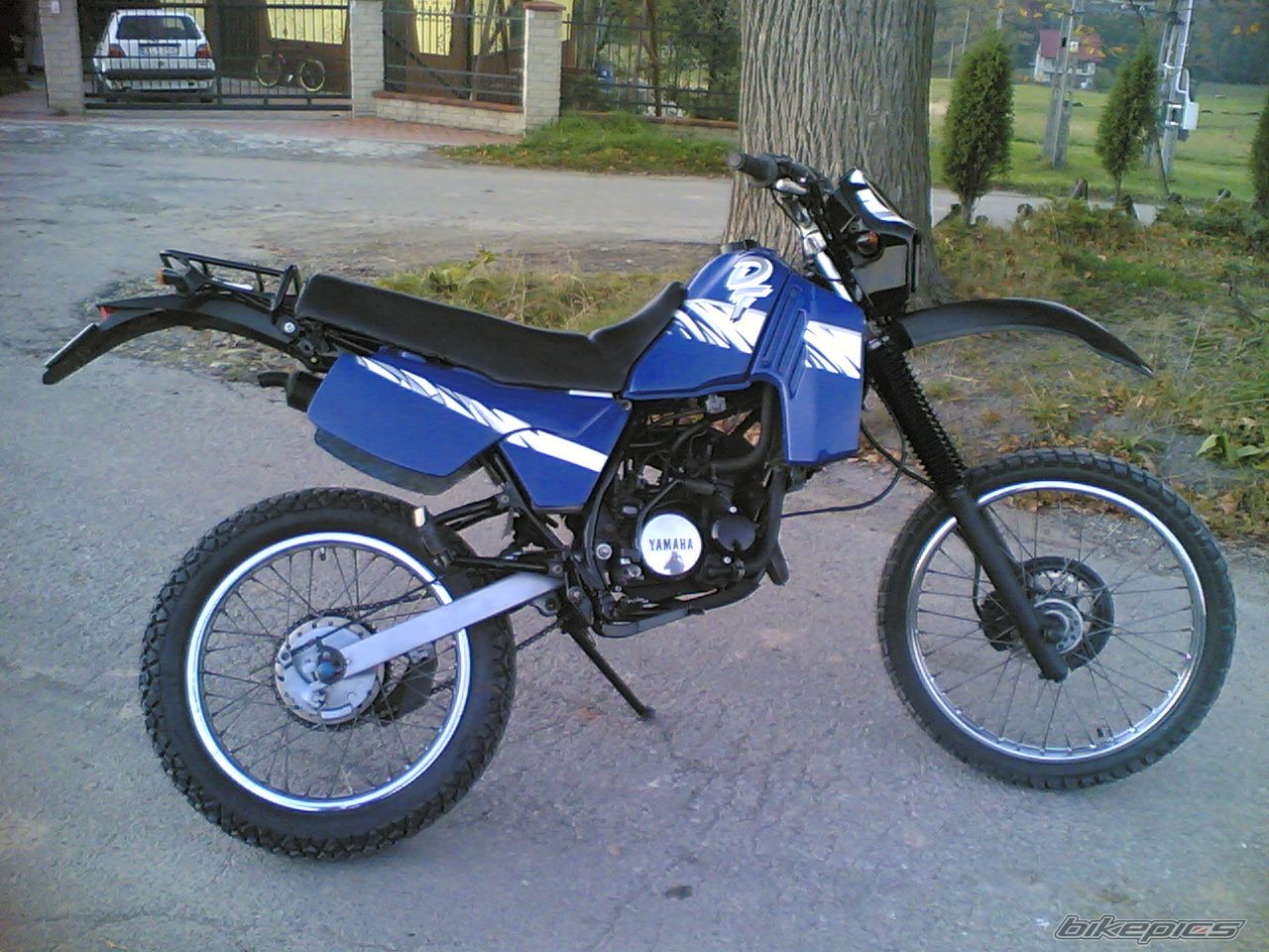 Photo 1063981