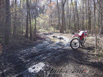Bike Photo 106404
