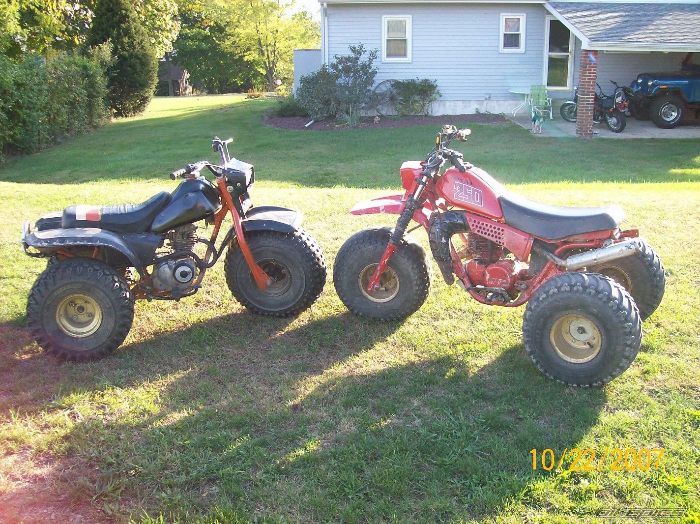 Photo 1064047