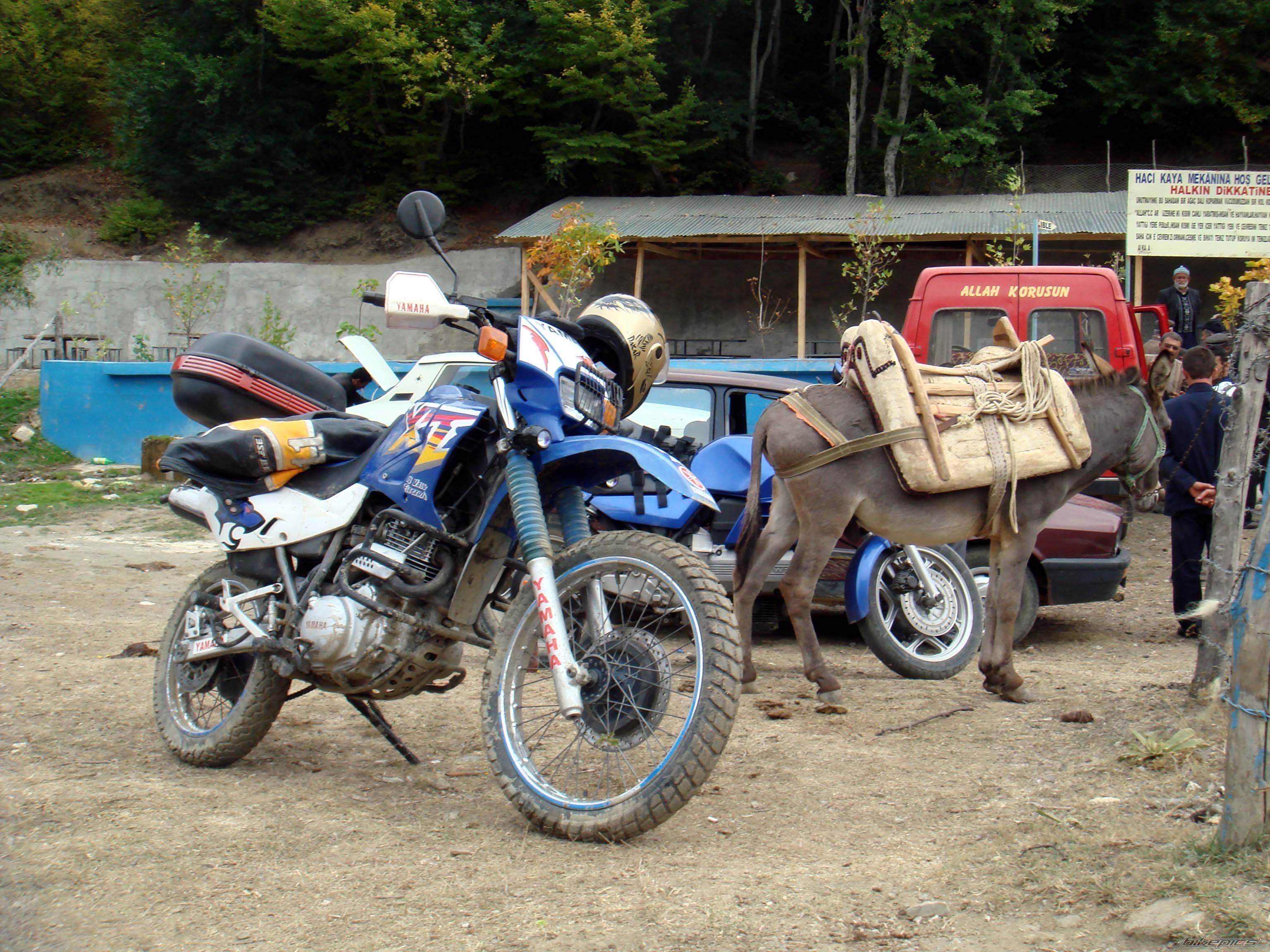 Photo 1064262