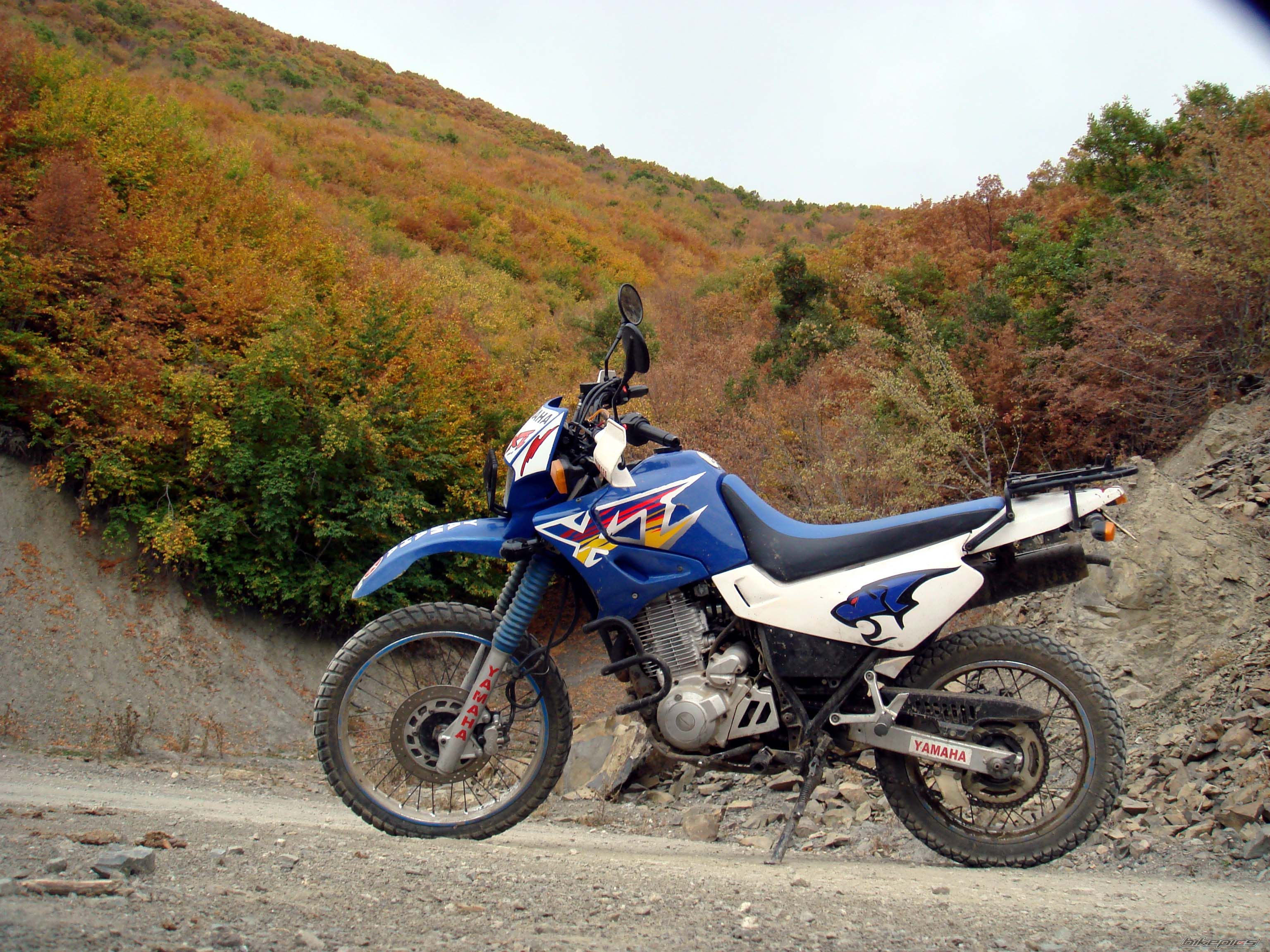 Photo 1064269