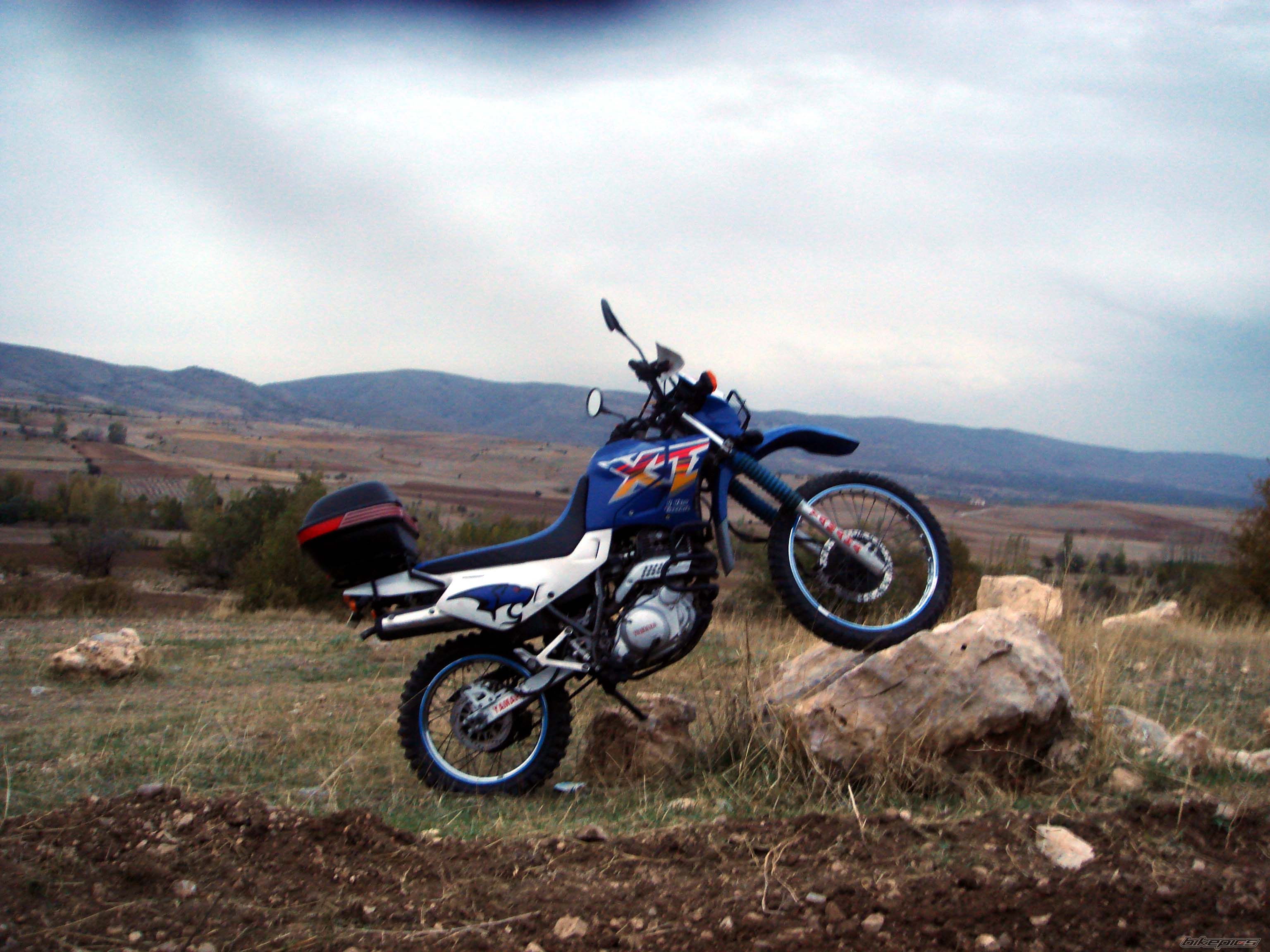Photo 1064282
