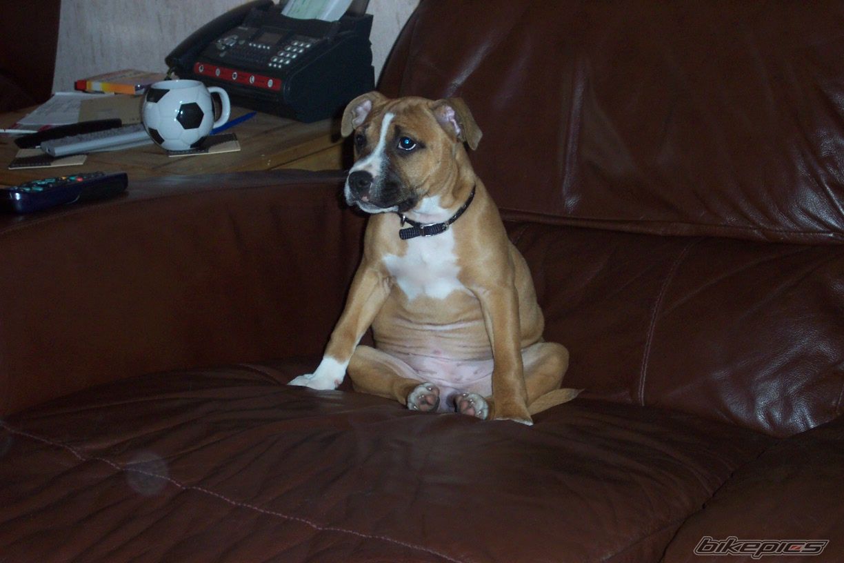 Photo 1064510