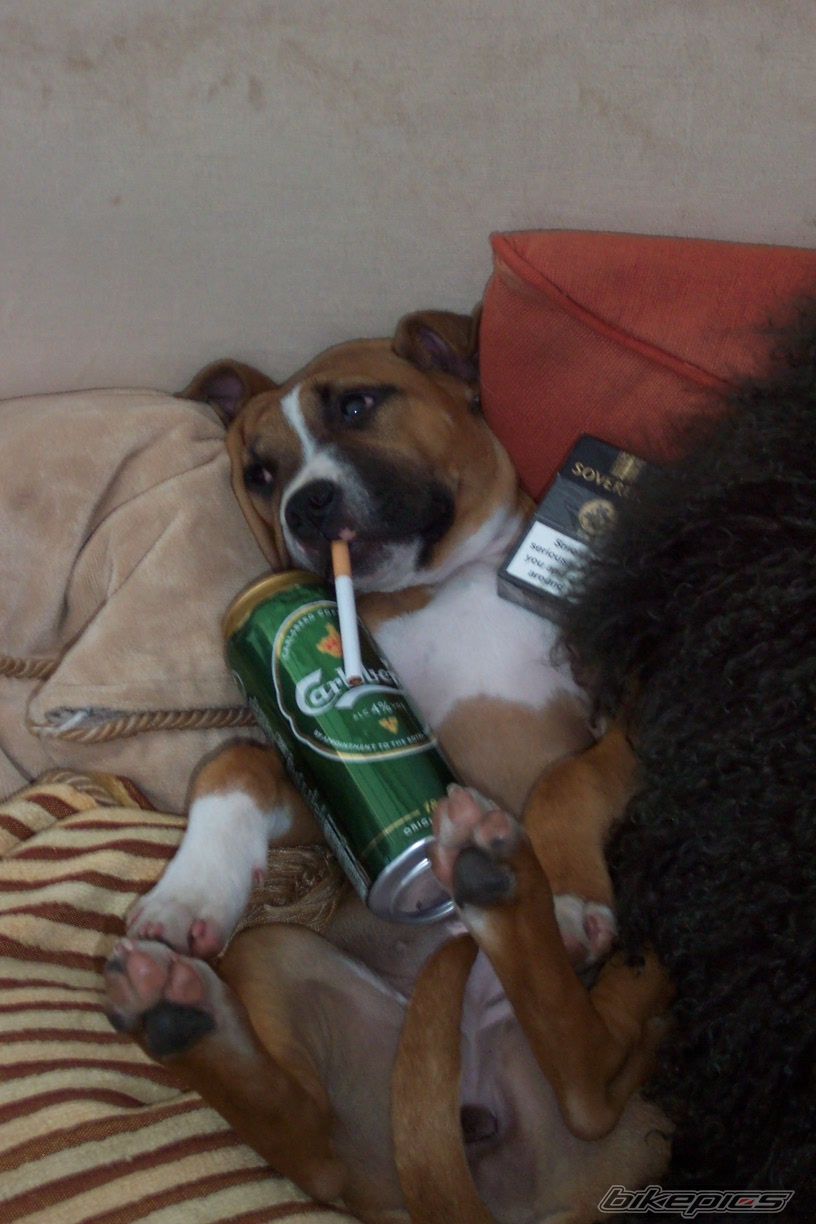 Photo 1064513