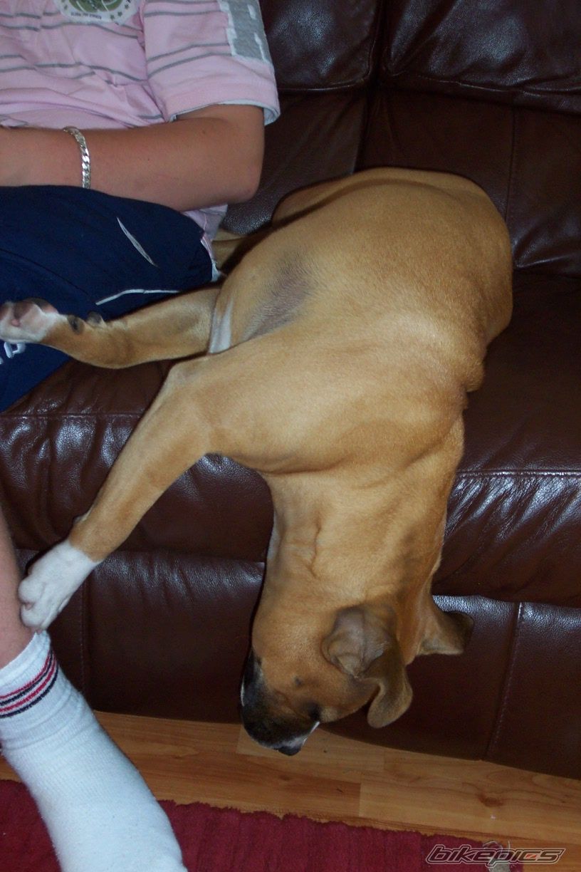 Photo 1064514