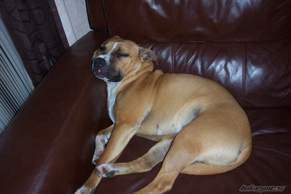 Photo 1064516