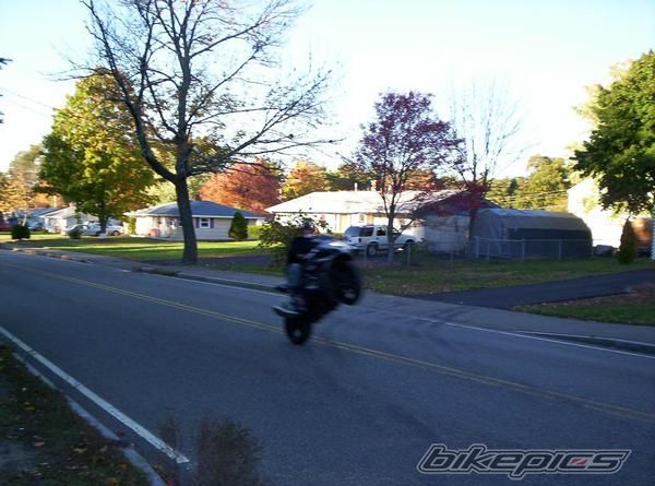 Photo 1064667