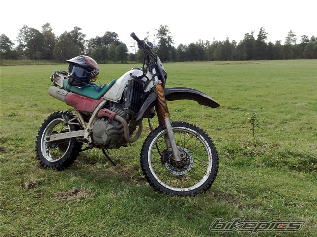 Photo 1064767