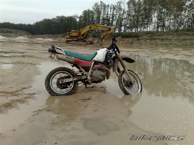 Photo 1064773