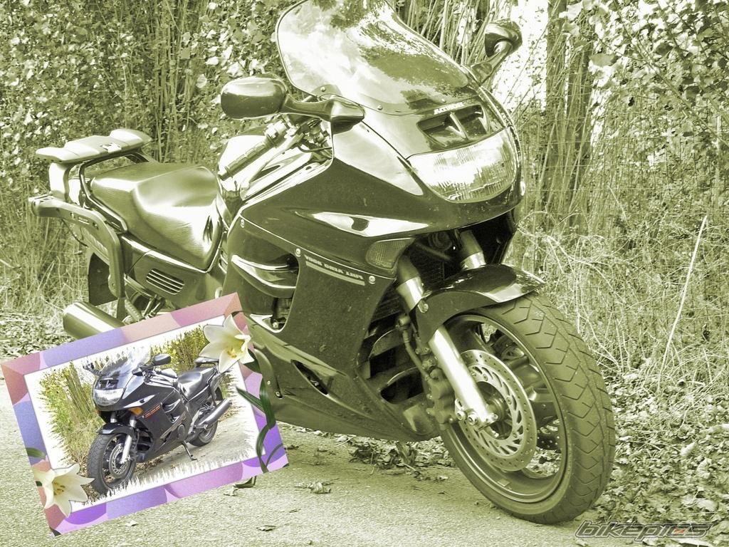 Bike Photo 1064878