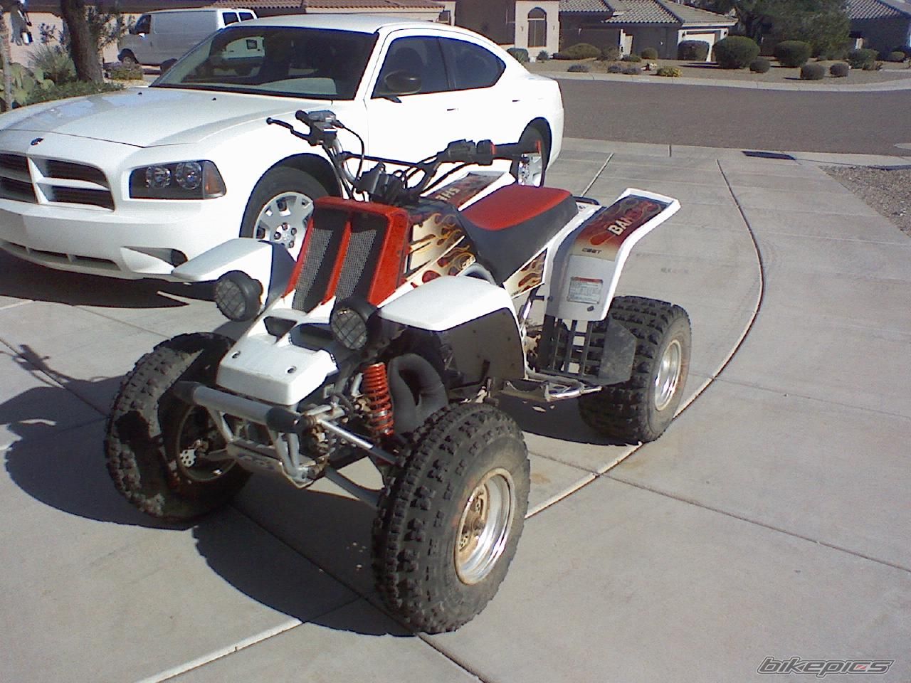 Photo 1065463