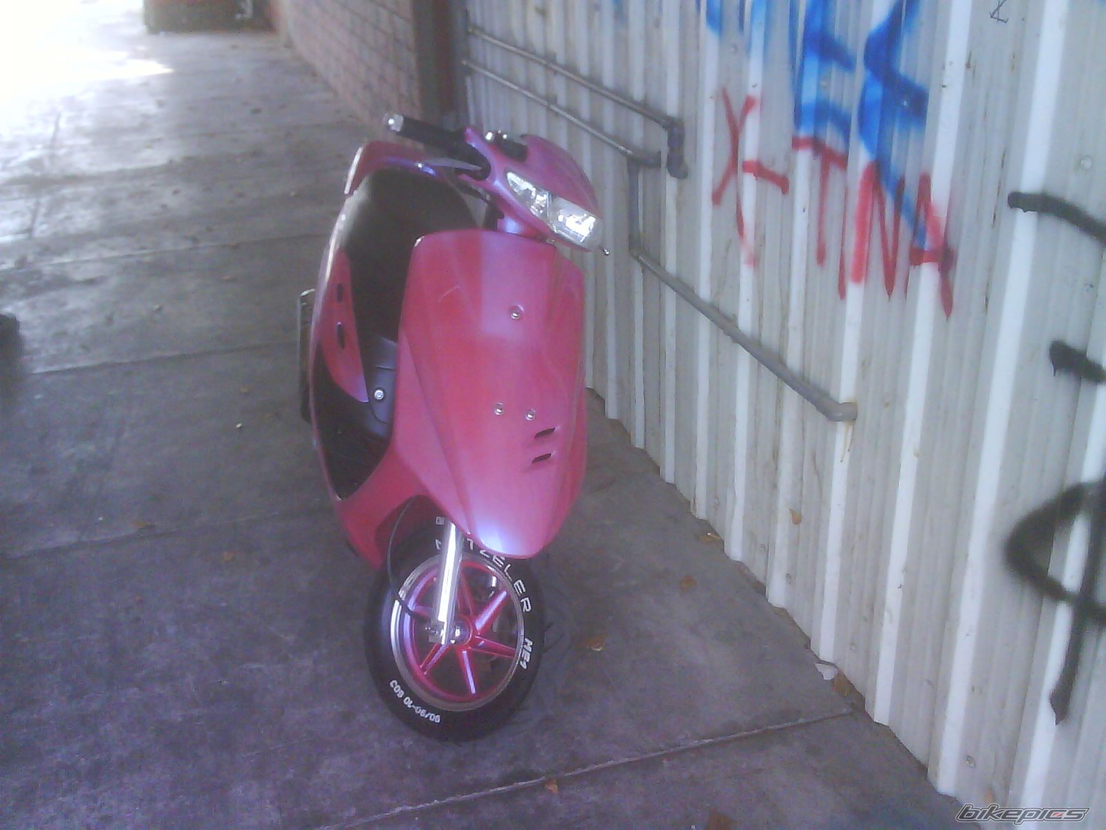 Photo 1065597