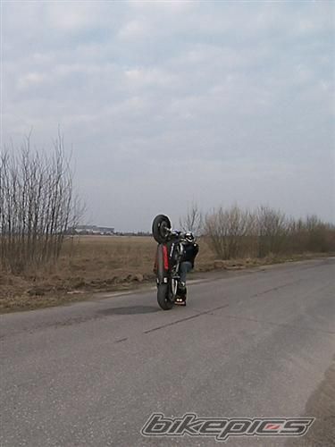 Photo 1065958