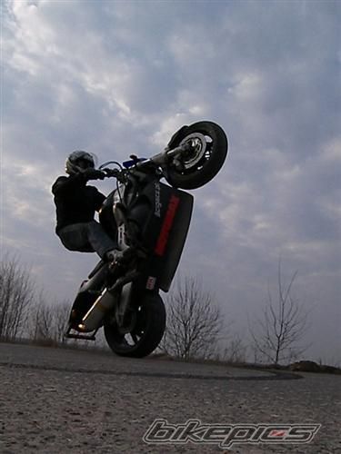 Photo 1065959