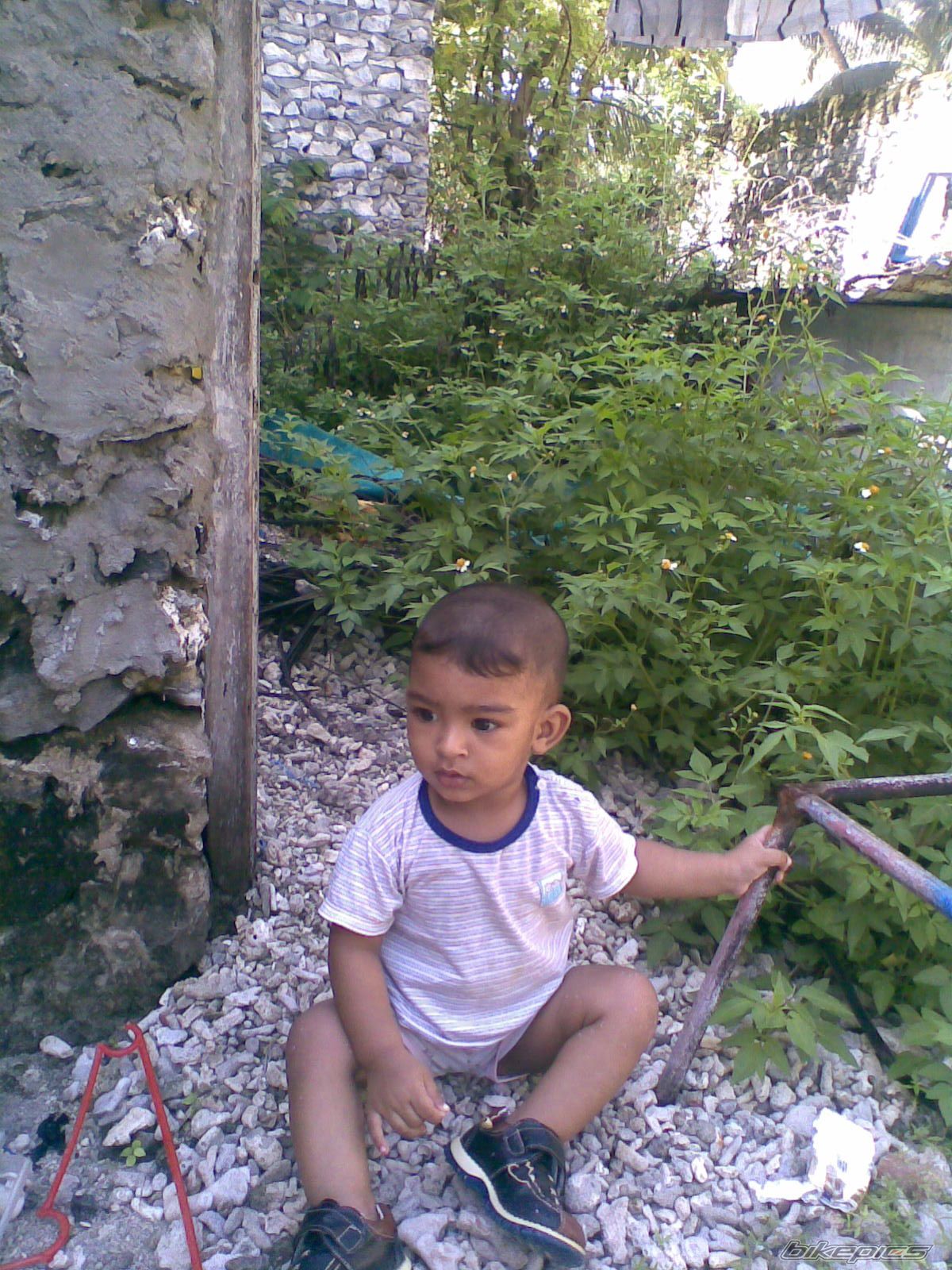 Photo 1065981