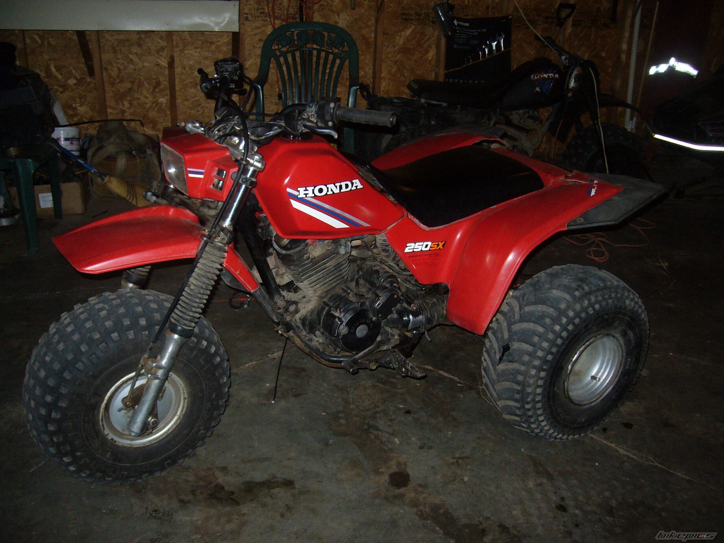 Photo 1066184