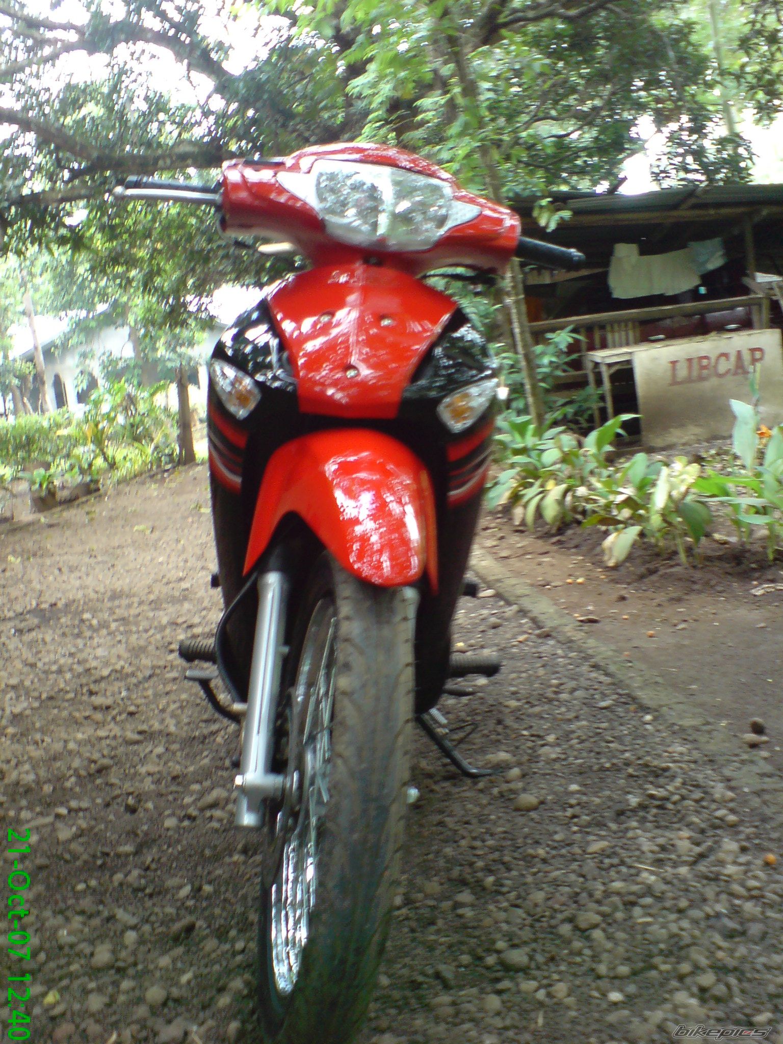 Photo 1066464