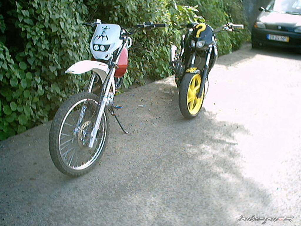 Photo 106663