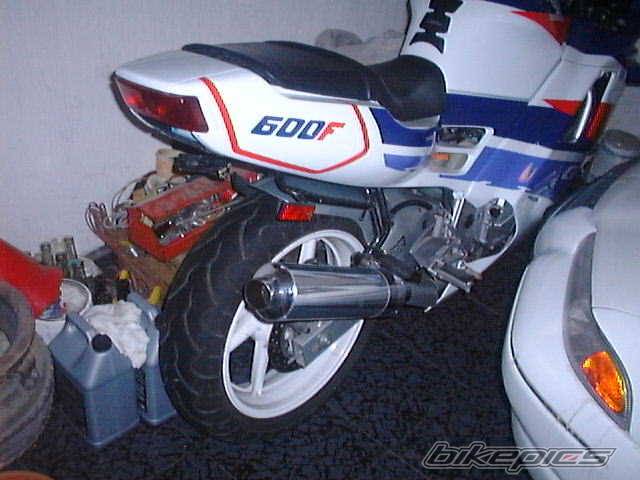 Photo 10667