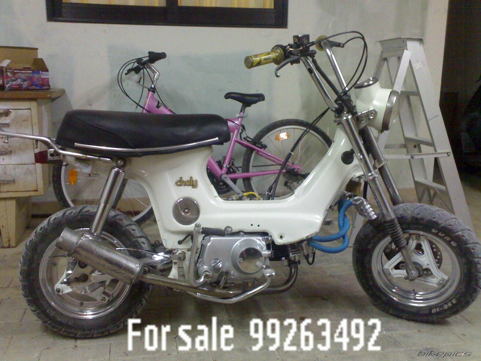 Photo 1066714