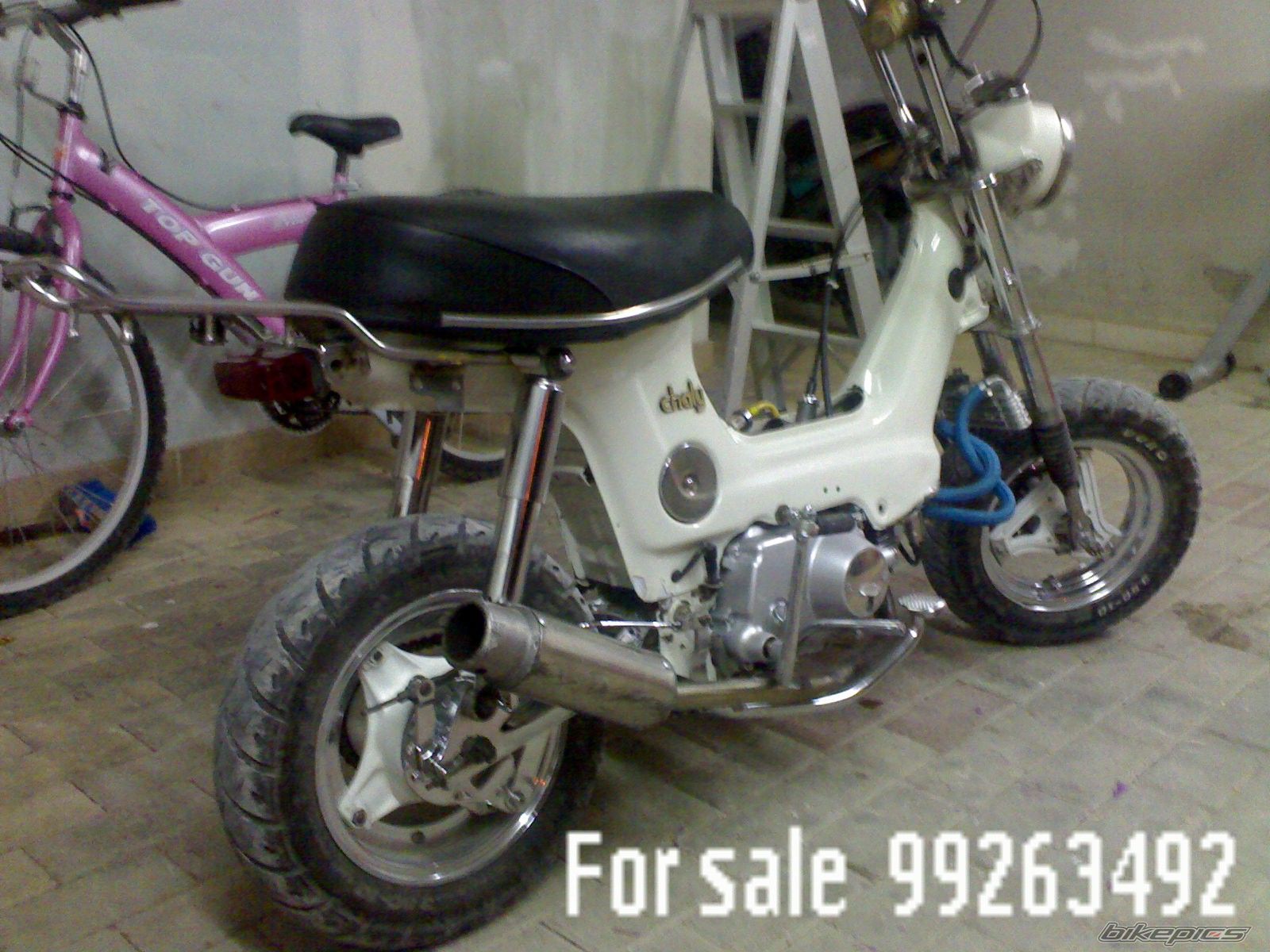 Photo 1066716