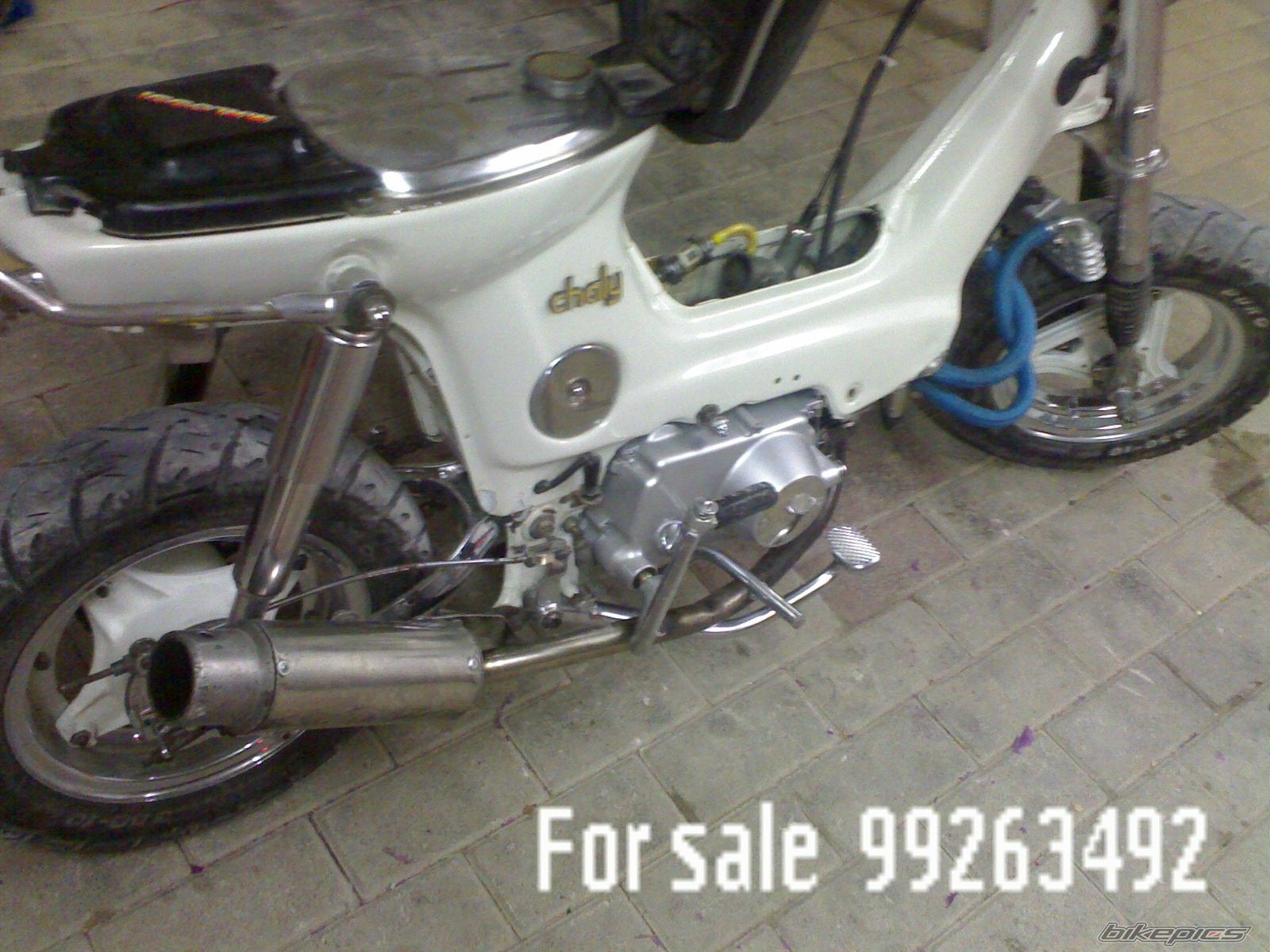 Photo 1066718