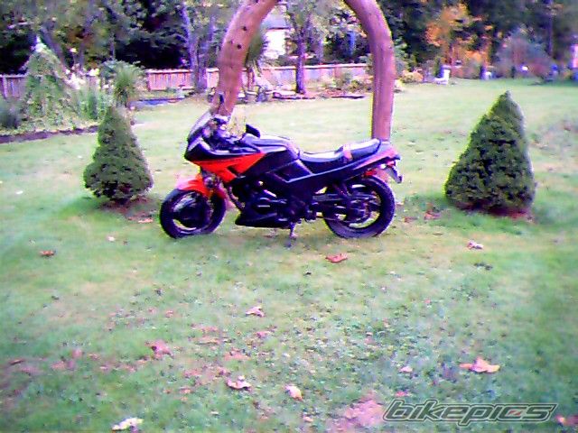 Photo 1066978