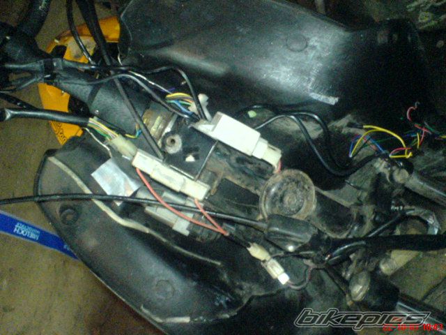 Photo 1067020