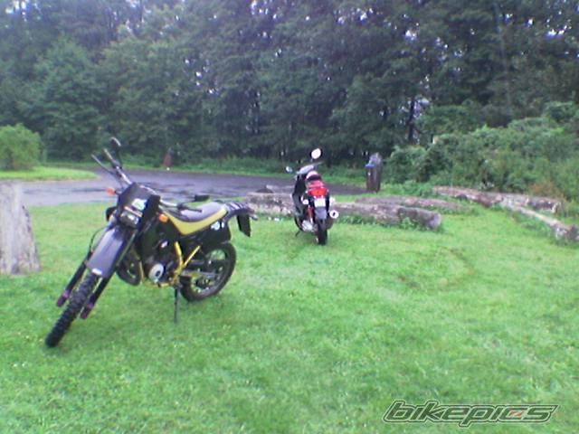 Photo 1067121