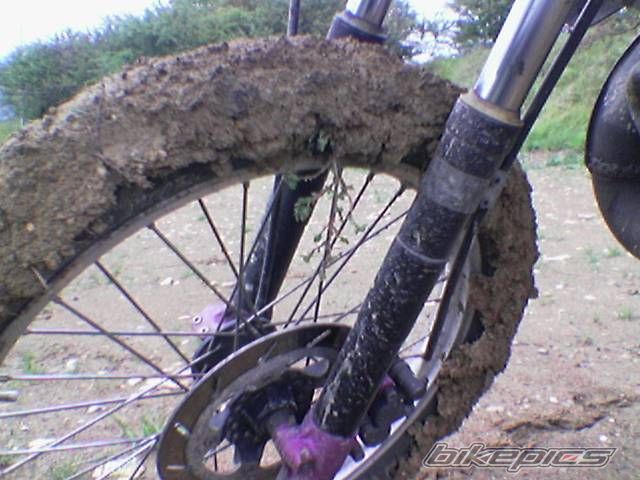 Photo 1067139