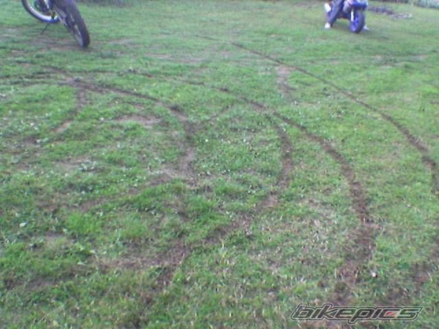 Photo 1067146