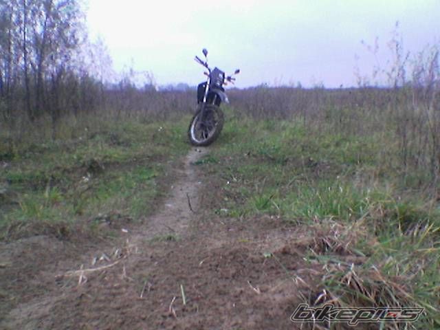 Photo 1067169