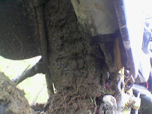 Photo 1067174