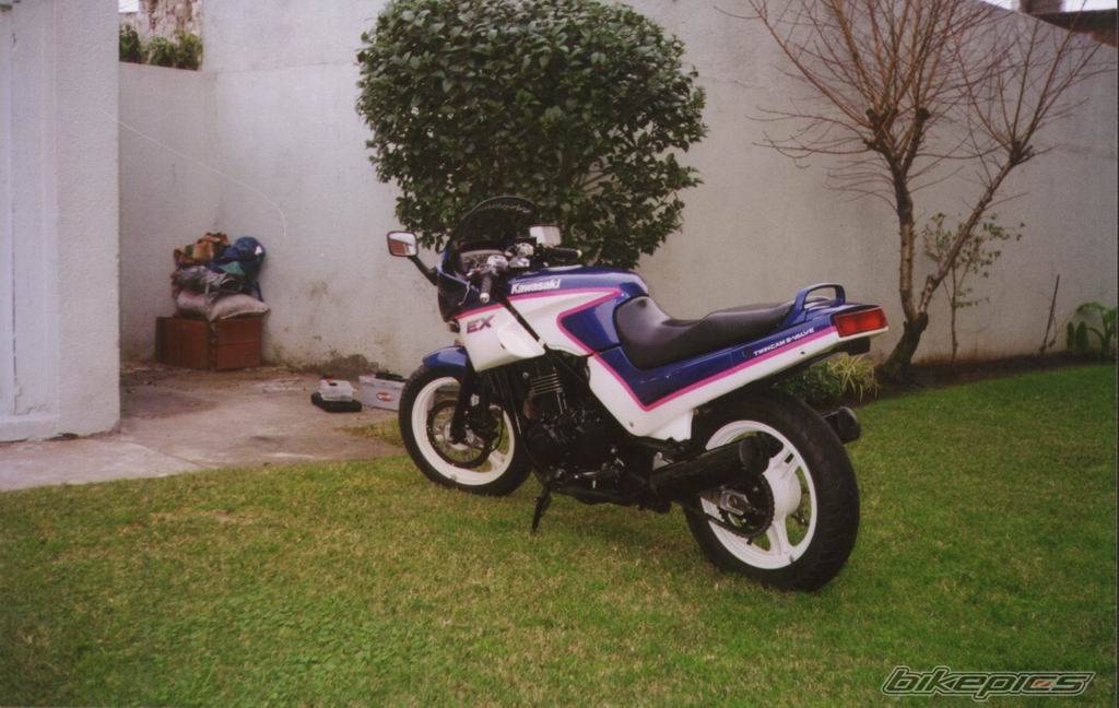 Photo 10672
