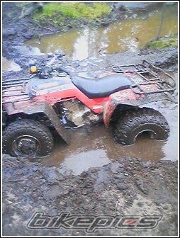 Photo 1067231