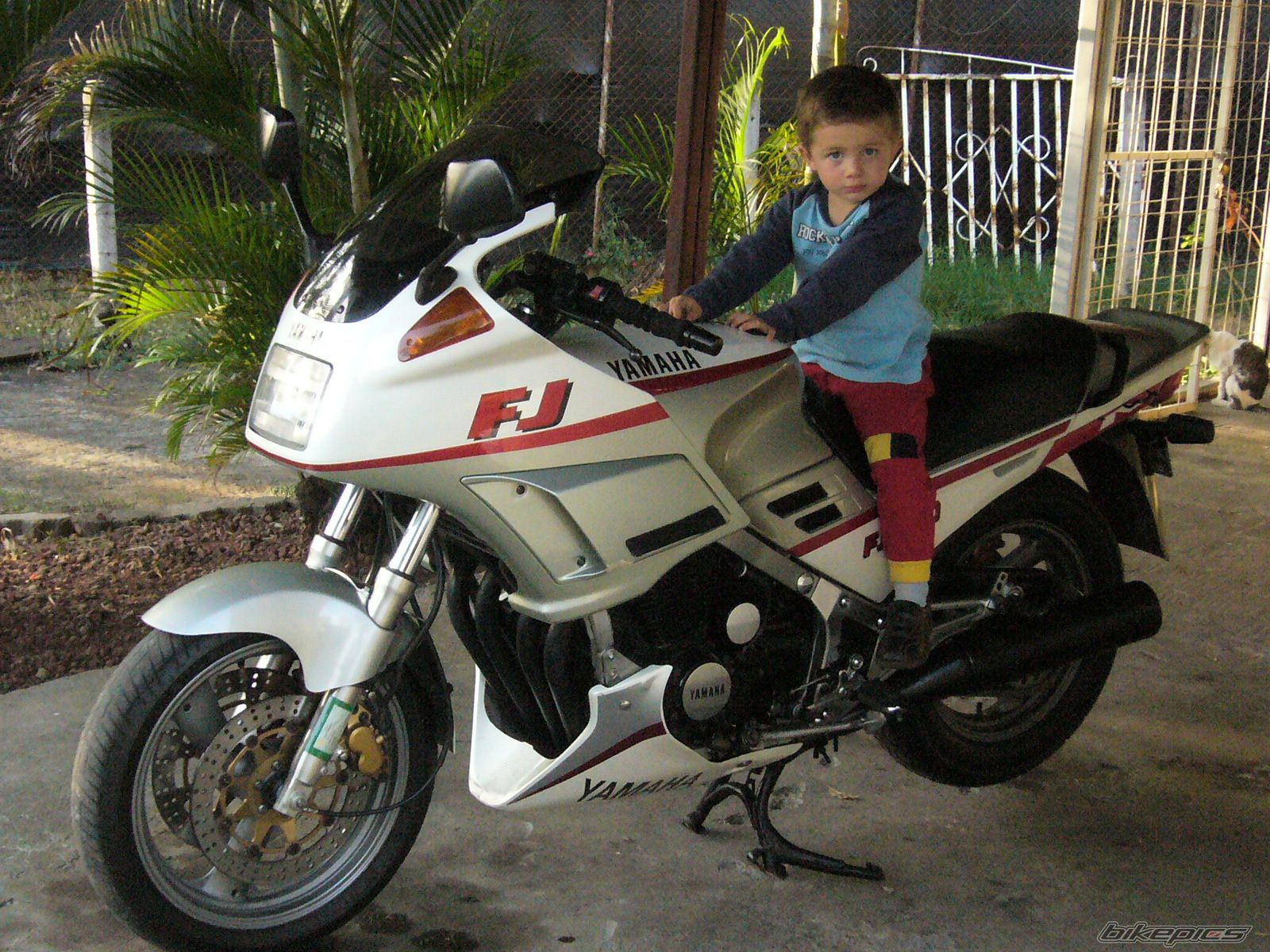 Bike Photo 1067319