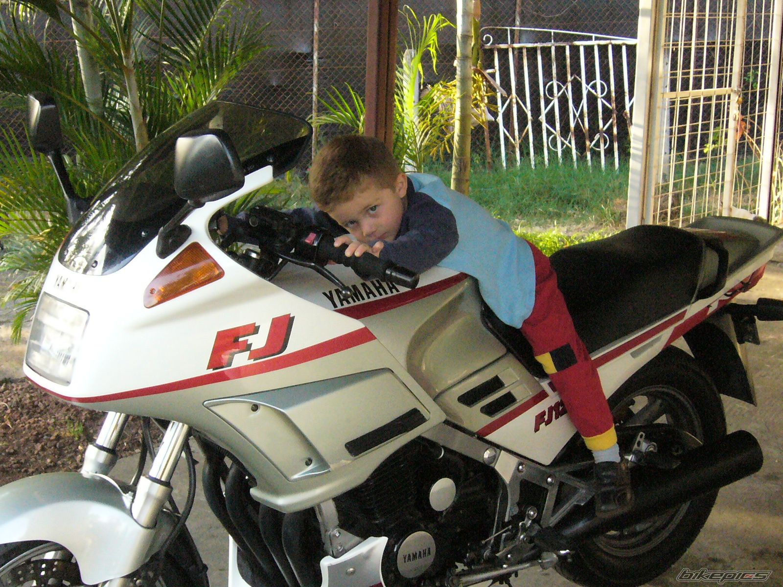 Photo 1067323