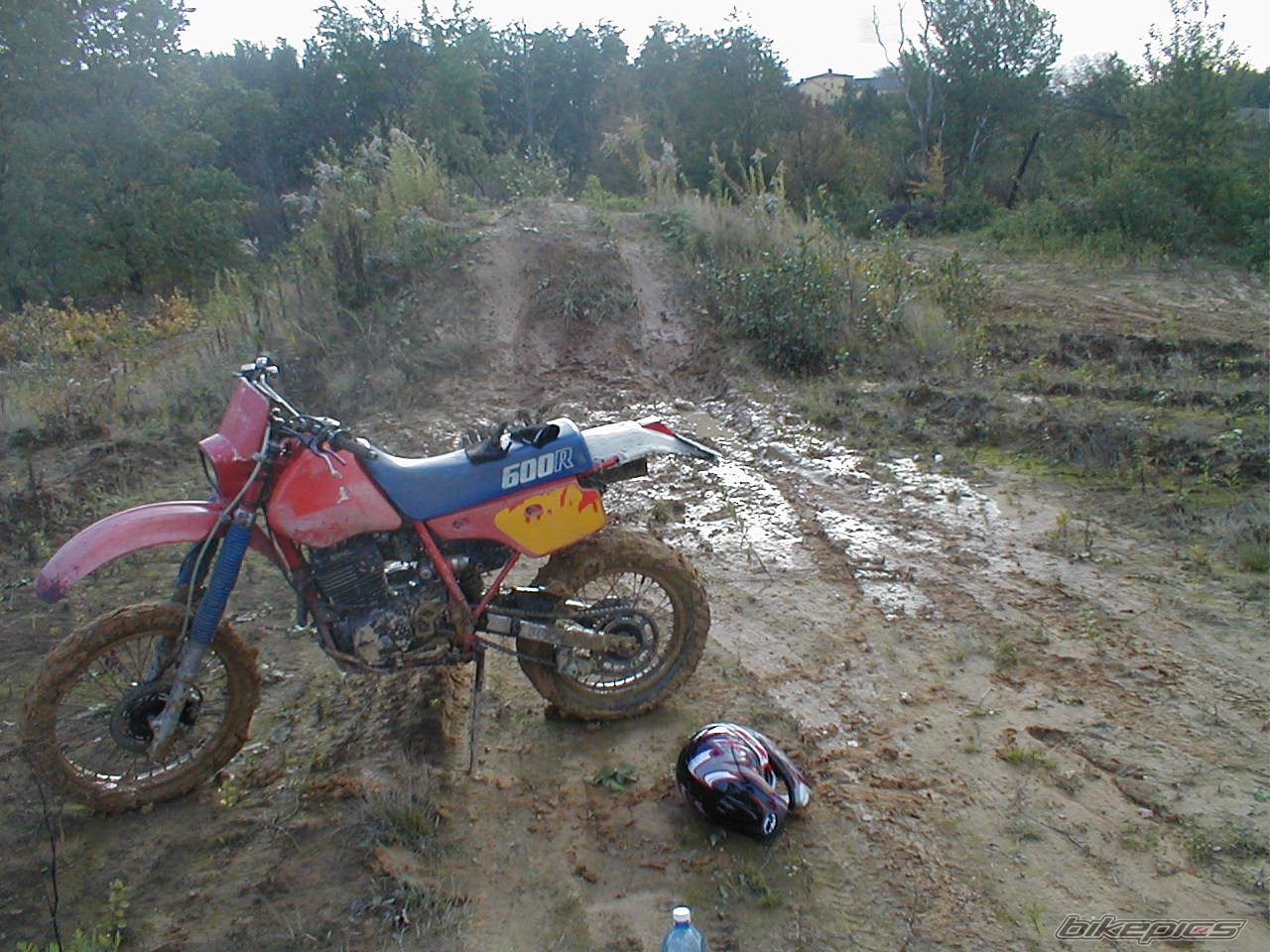 Photo 1067354
